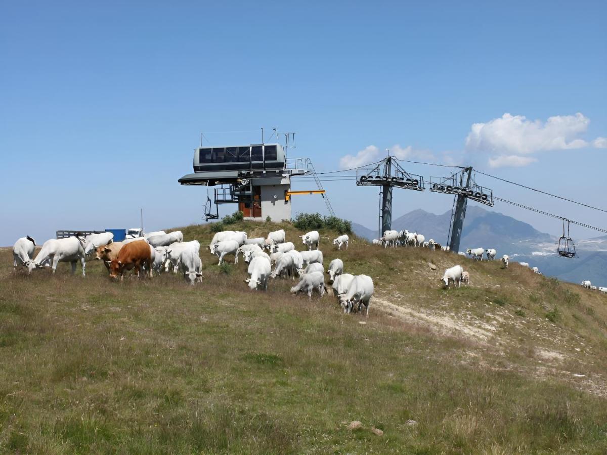 Studio 4 Personnes Au Pied Des Piste Plateau De Bonascre - Ax 3 Domaines Ete Hiver Акс-ле-Терм Екстер'єр фото